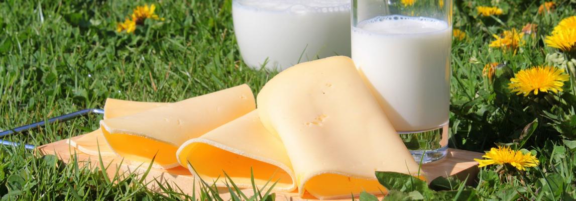 sensory quality of milk products